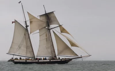 Lynx Sunset Sail