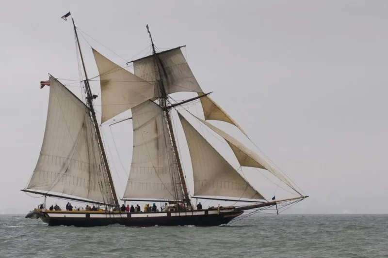 Lynx Sunset Sail